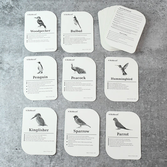 Kidkraft Early Learner Educational Flashcards 32 Birds