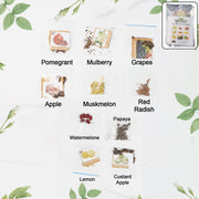 Fruit Seeds Combo Pack - (10 Pc  Set) thumbnail 1