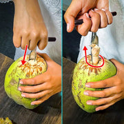 Stainless Steel Coconut Breaker Tool With Comfortable T-handle (1 Pc) thumbnail 4