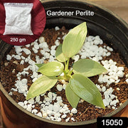 Paradise Perlite For Hydroponics Amp Horticulture Terrace Gardening Soil Conditioner (250 Gm) thumbnail 5