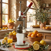 Heavy Duty Manual Hand Press Juicer Machine (1 Set) thumbnail 5