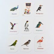 Kidkraft Early Learner Educational Flashcards  32 Birds thumbnail 1