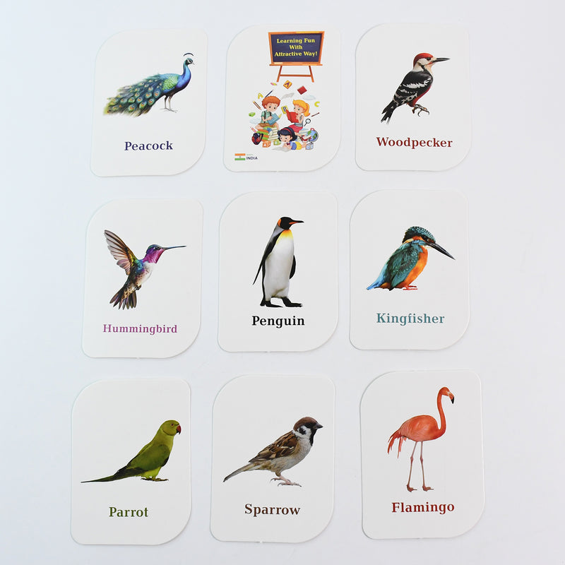 Kidkraft Early Learner Educational Flashcards  32 Birds