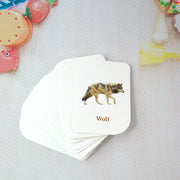 Kidkraft 32-piece Animal Flash Cards Set thumbnail 3