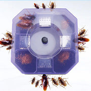 1471 Cockroach Traps Box Cockroach Bug Roach Catcher Cockroach Killer thumbnail 5