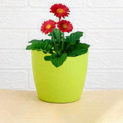 1191 Flower Pots Round Shape For Indooroutdoor Gardening thumbnail 3
