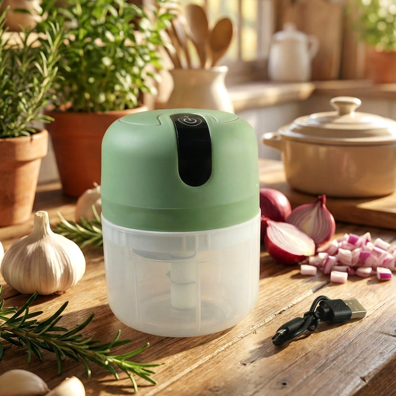 Mini Electric Food Processor  Vegetable Chopper Garlic Chopper  Machine  (250 Ml)