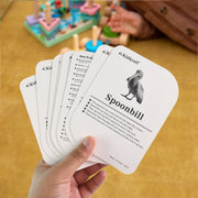 Kidkraft Early Learner Educational Flashcards  32 Birds thumbnail 3