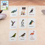 Kidkraft Early Learner Educational Flashcards  32 Birds thumbnail 6