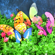 Decorative Colorful Butterfly Wall Stickers (12 Pc  Set) thumbnail 4