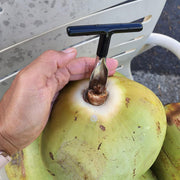 Stainless Steel Coconut Breaker Tool With Comfortable T-handle (1 Pc) thumbnail 2