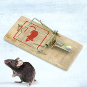 Wooden Mouse Rat Traps (1 Pc) thumbnail 1