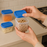 Apex Glory Plastic Storage Container Box Set (4 Pc) thumbnail 4