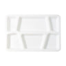 Plastic Multi-compartment Rectangular Meal Serving Tray  Plate (1 Pc  White)