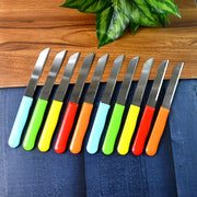 Premium Quality Stainless Steel Handle Plain Knife (10 Pc  1 Set) thumbnail 4