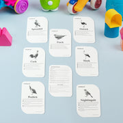 Kidkraft Early Learner Educational Flashcards  32 Birds thumbnail 4