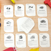 Kidkraft 32-piece Educational Vegetable Flash Cards Set thumbnail 4
