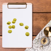 Strong Round Fridge  Whiteboard Magnet - (10 Pc Set) thumbnail 3