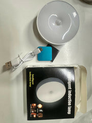 Rechargeable Motion Sensor LED Night Light with USB Charging thumbnail 9