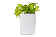 3858 Plastic Vertical Hanging Planter Pot Multicolour thumbnail 4