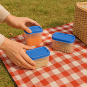Apex Glory Plastic Storage Container Box Set (4 Pc) thumbnail 5