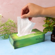 Freshee Premium Skin-friendly Facial Tissues  100 Pc Box (18 X 20 Cm) thumbnail 1