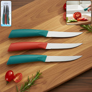 Multipurpose Stainless Steel Fruit Knife Set Of 3 thumbnail 1