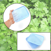 3758 1 Pc Kothmir Basket Widely Used In All Types Of Household Places For Holding And Storing Various Kinds Of Fruits And Vegetables Etc. thumbnail 4