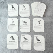 Kidkraft Early Learner Educational Flashcards  32 Birds thumbnail 2