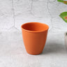 Durable Plastic Small Drinking Glass (1 Pc)