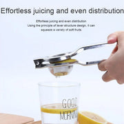 Lemon Squeezer Steel Polish thumbnail 2