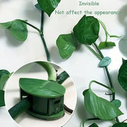 0311  Plant Climbing Wall Fixture Clip Self-adhesive Hook Vines Traction Invisible Stand Green Leaf Plant Clip Garden Wall Clip Plant Support Binding Clip Plants For Indoor Outdoor Decoration (30 Pcs Set) thumbnail 1