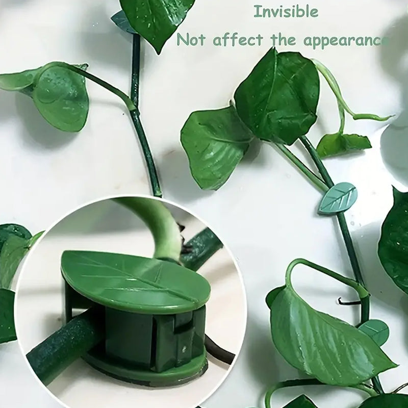 0311  Plant Climbing Wall Fixture Clip Self-adhesive Hook Vines Traction Invisible Stand Green Leaf Plant Clip Garden Wall Clip Plant Support Binding Clip Plants For Indoor Outdoor Decoration (30 Pcs Set)