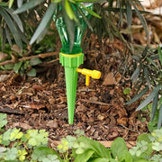 Green Plant Watering Spikes Self Watering Spikes (1 Pc) thumbnail 4